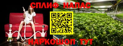 крисы Будённовск